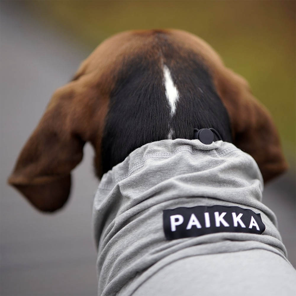 PAIKKA recovery overall - 6