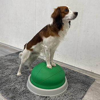 Half balance ball