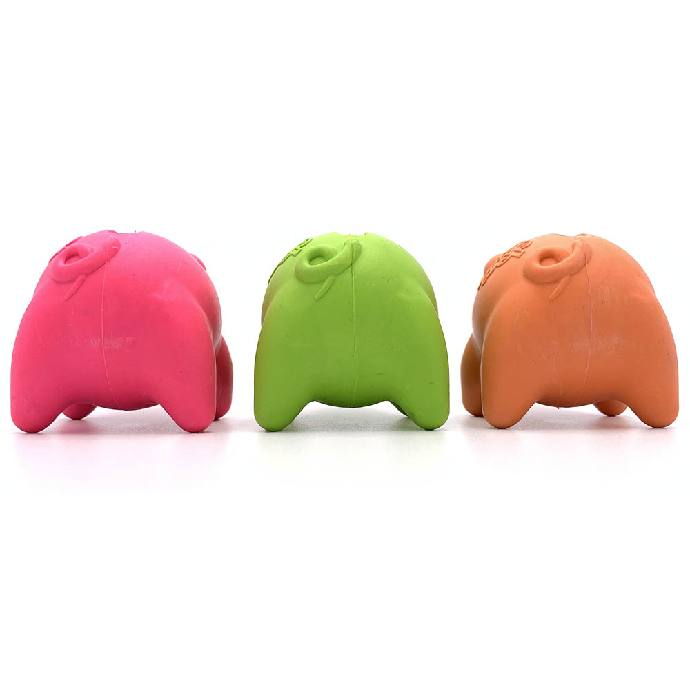 Dog Comets Propus - 5