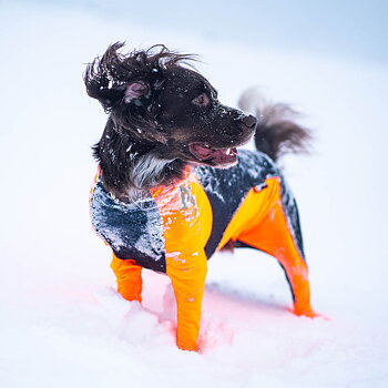 Mjuk heltäckande overall till hunden för att slippa snöklumpar Non-Stop