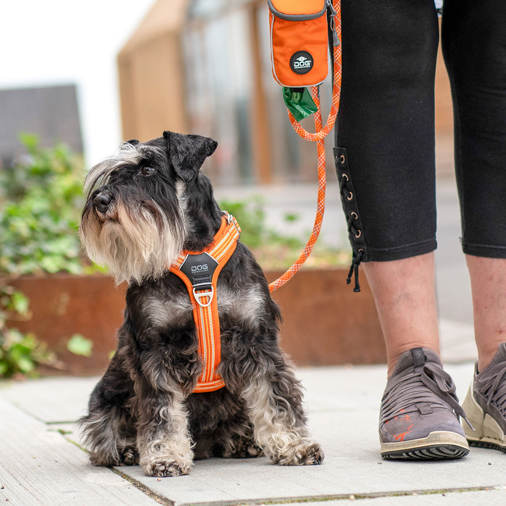Y harness for dog DOG Copenhagen Comfort walk air harness 3.0