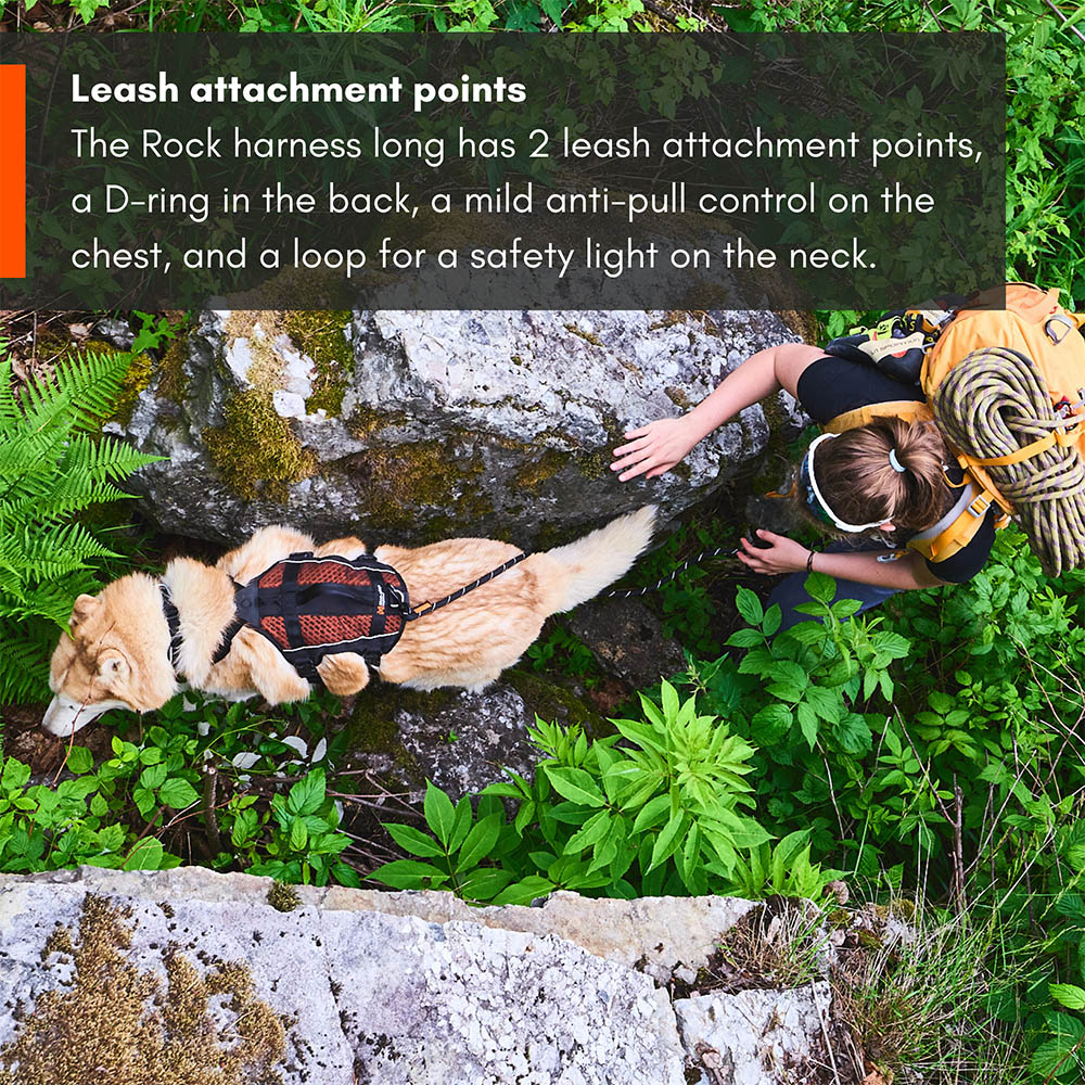 Non-stop Rock harness long sele - 9