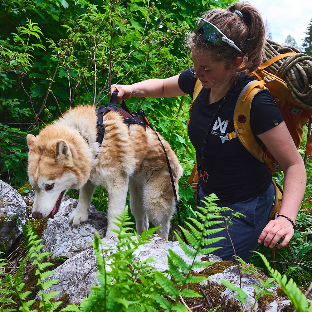 Non-Stop rock long harness hundsele med handtag på ryggen