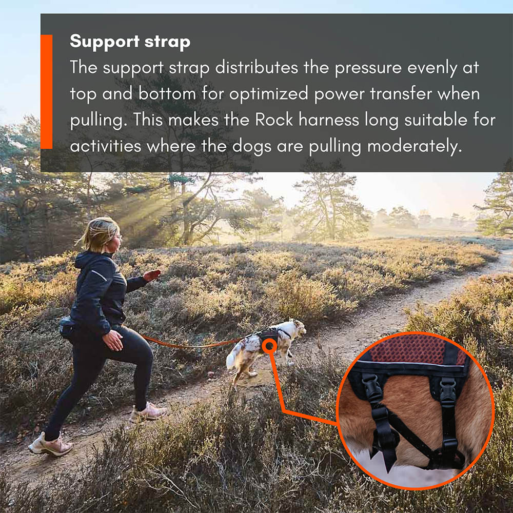 Hundsele till springa med hund Non-Stop rock long harness 