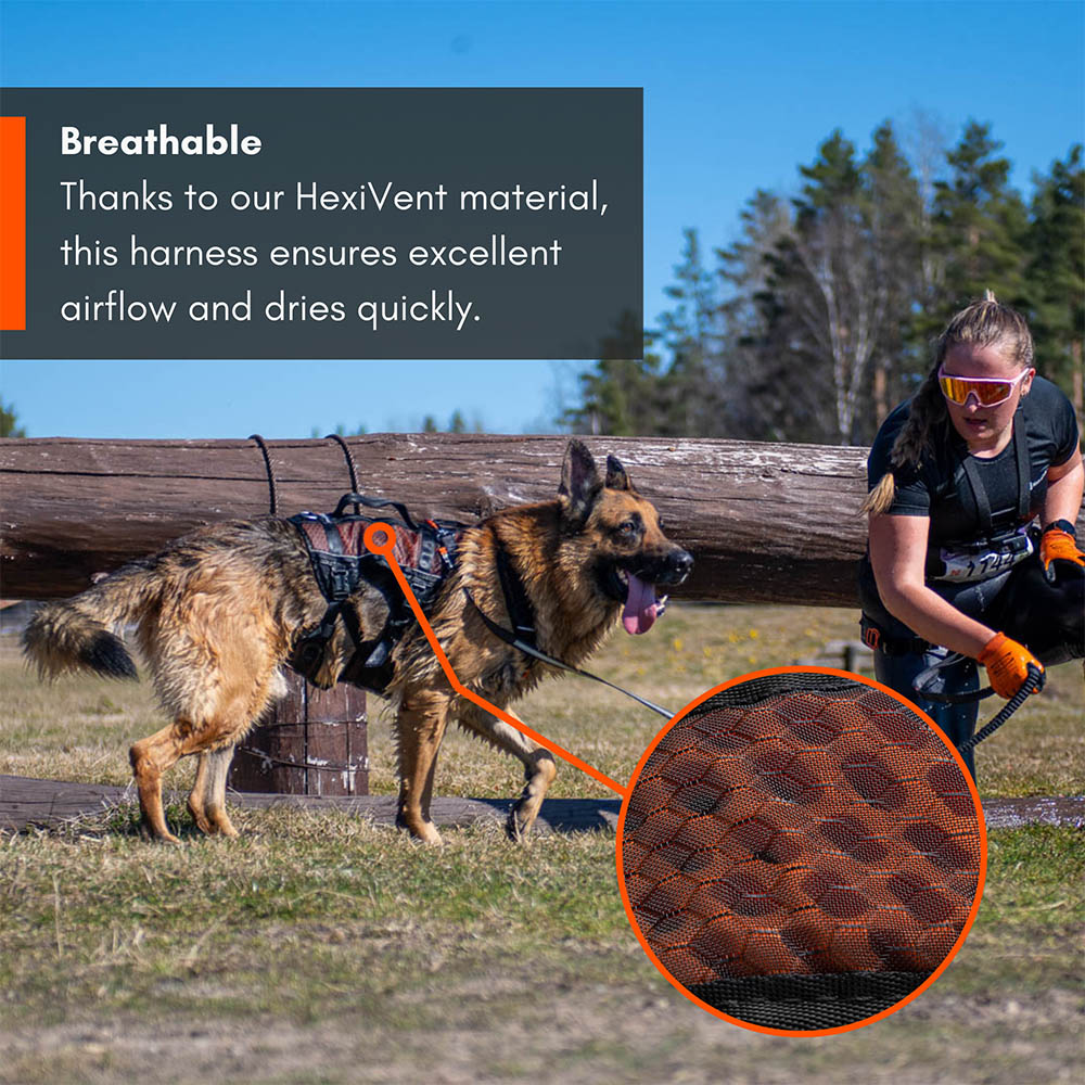 Non-Stop rock long harness hundsele till Muddy Paws k9 biathlon hundlopp terränglopp med hund