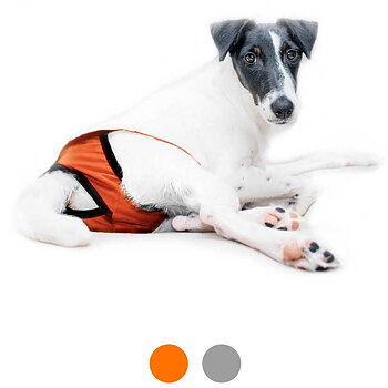Tikskydd till hund