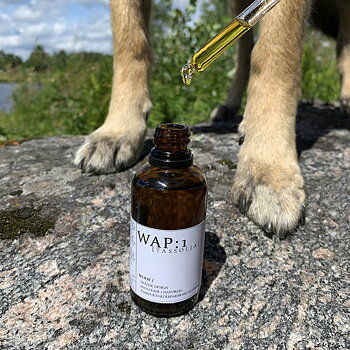 WAP: 1 Paw oil