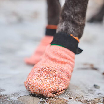 Non-Stop protector light socks socks mjuka hundskor