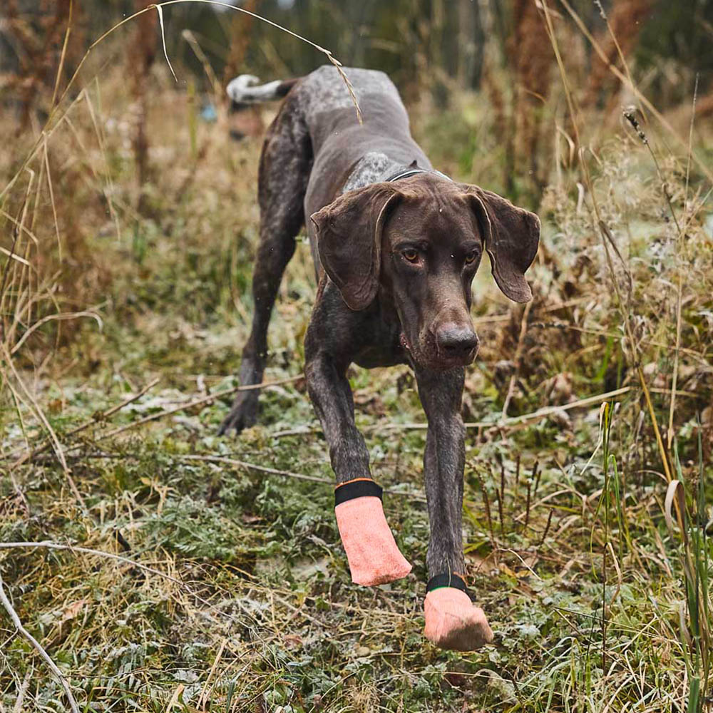 Durable dog shoes from Non-Stop protector light socks