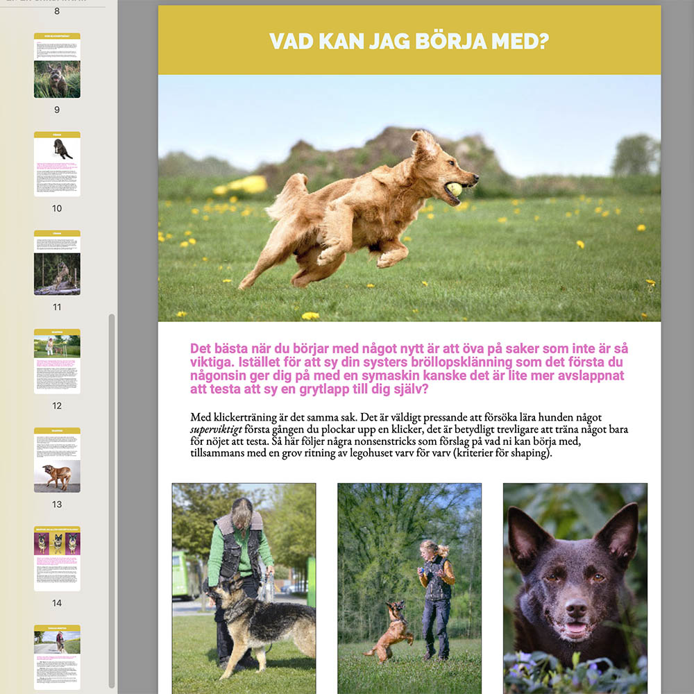 Nedladdningsbar hundbok om klickerträning