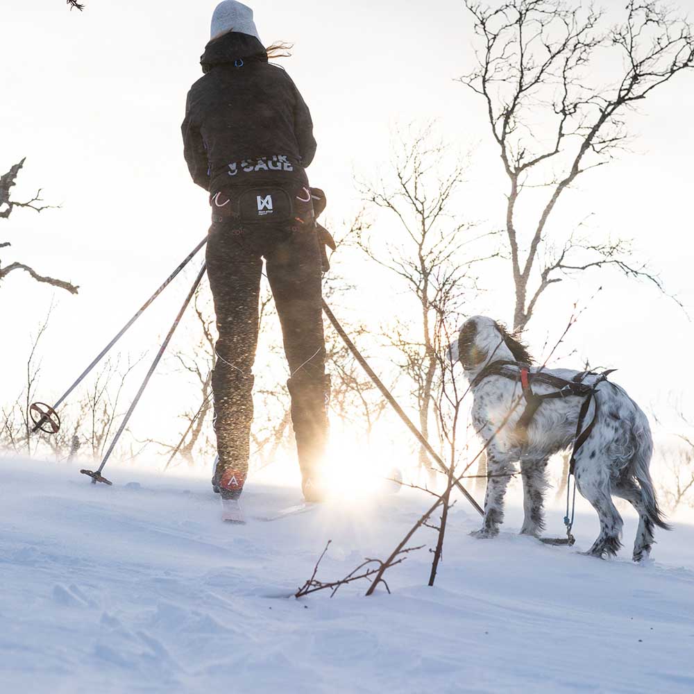FYND - Non-stop Löype skidbälte - storlek large - 6