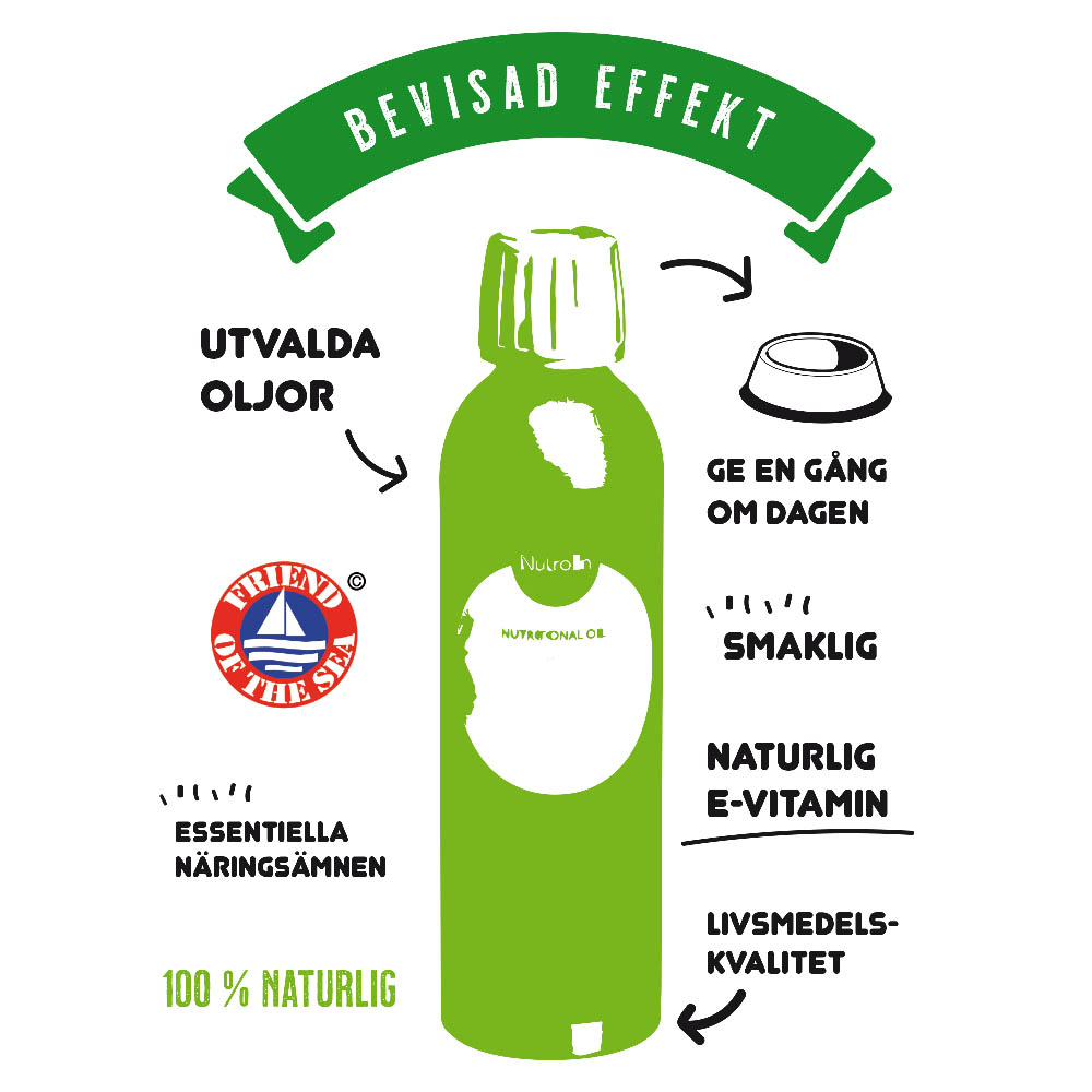 Näringstillskott omega3 antioxidanter till aktiv hund Nutrolin sport