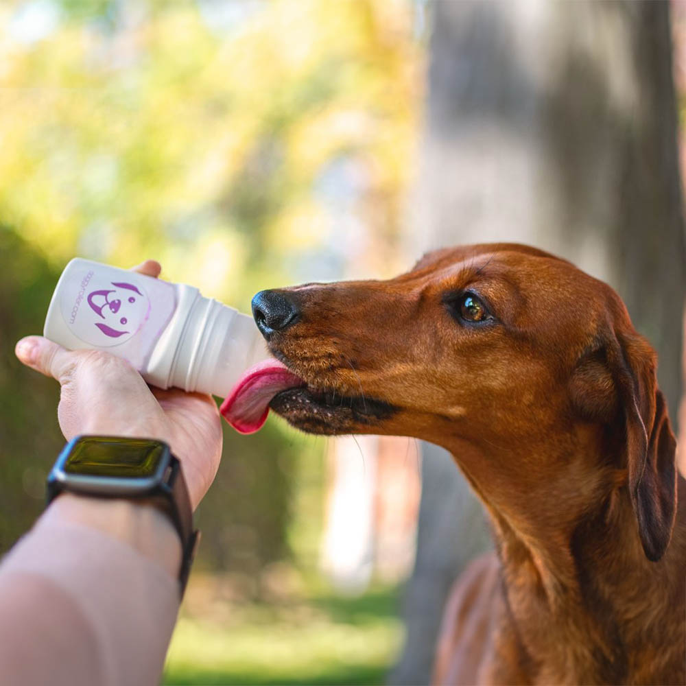 Belöningsdeo roller till din hund Doggyroller