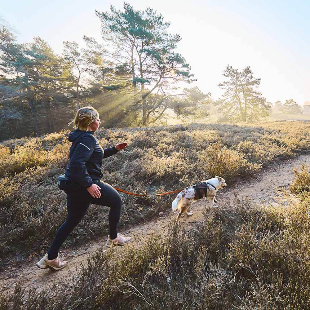 Non-Stop trail light belt for dog owner