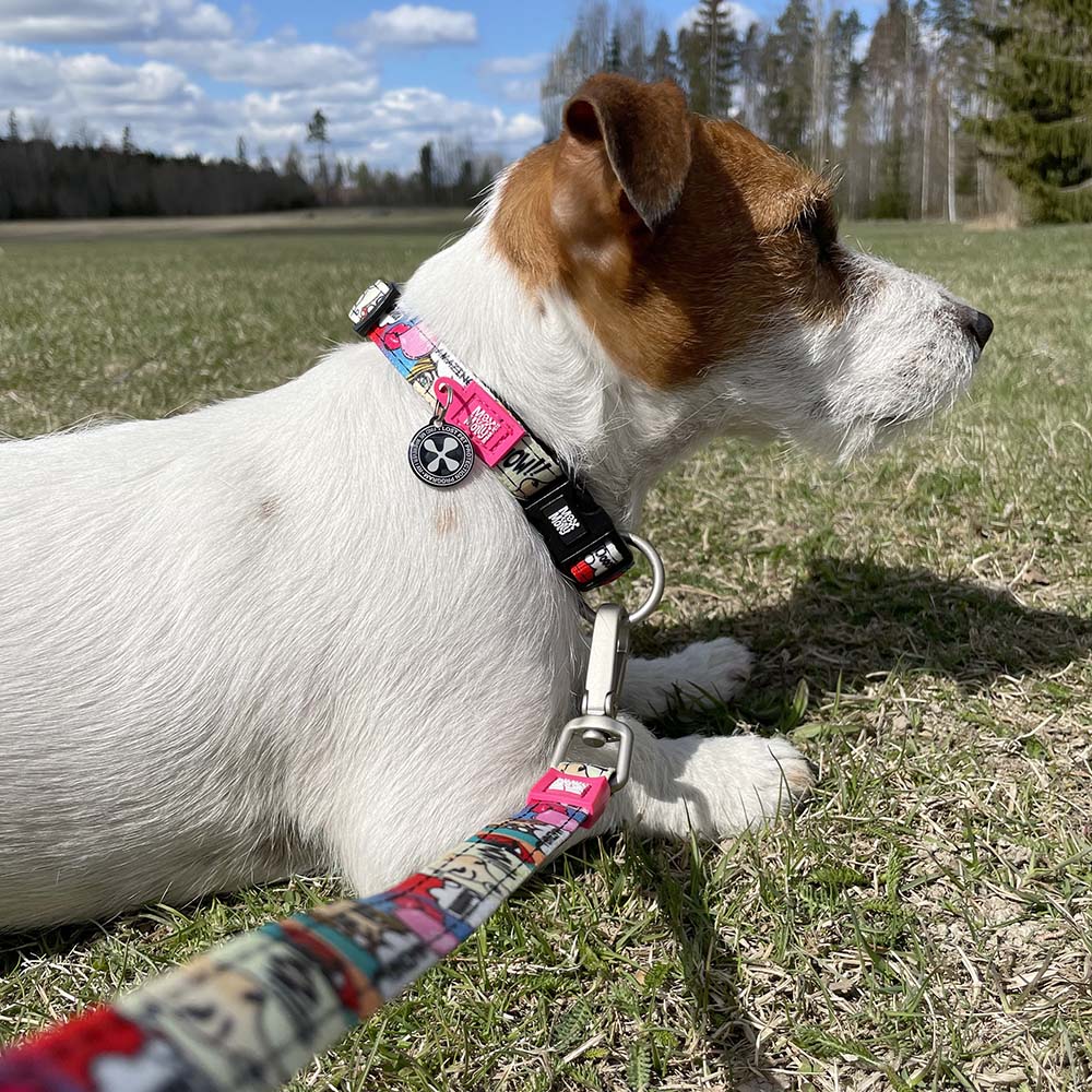 Max & Molly Short leash - Missy Pop - 4