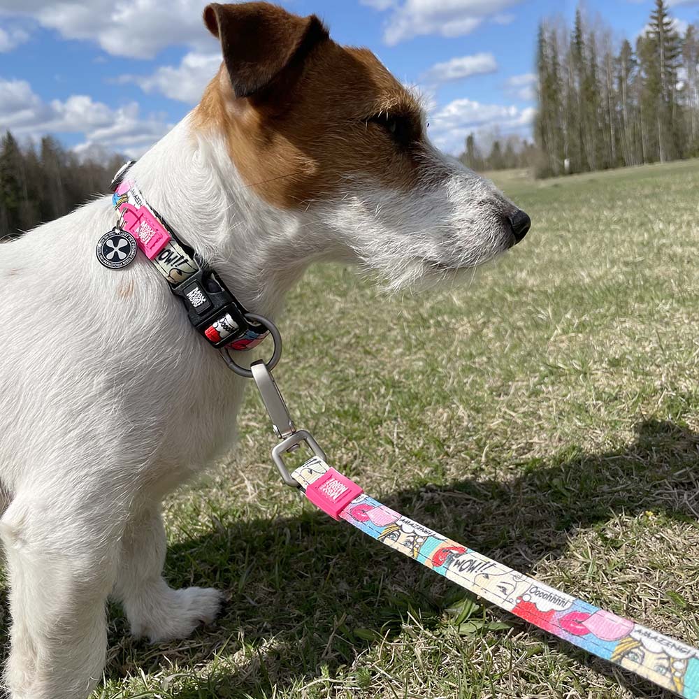Short leash for dogs