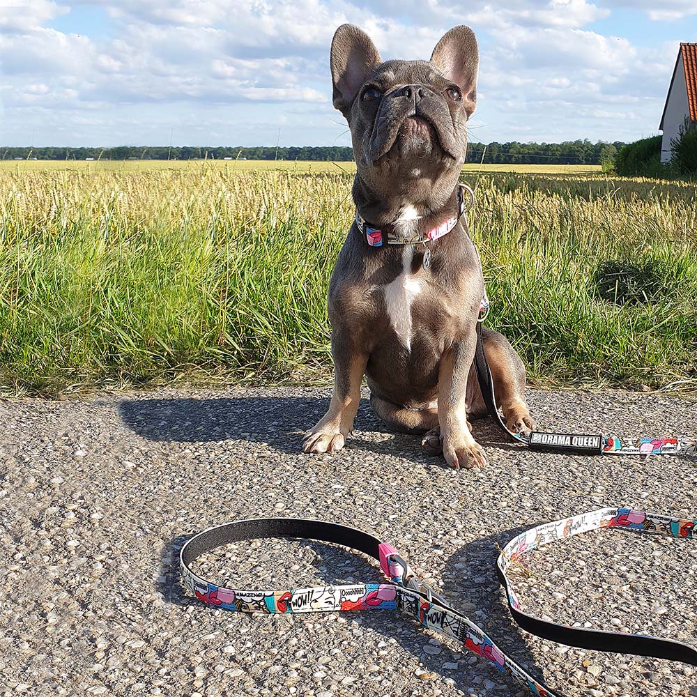Max & Molly Short leash - Missy Pop - 5