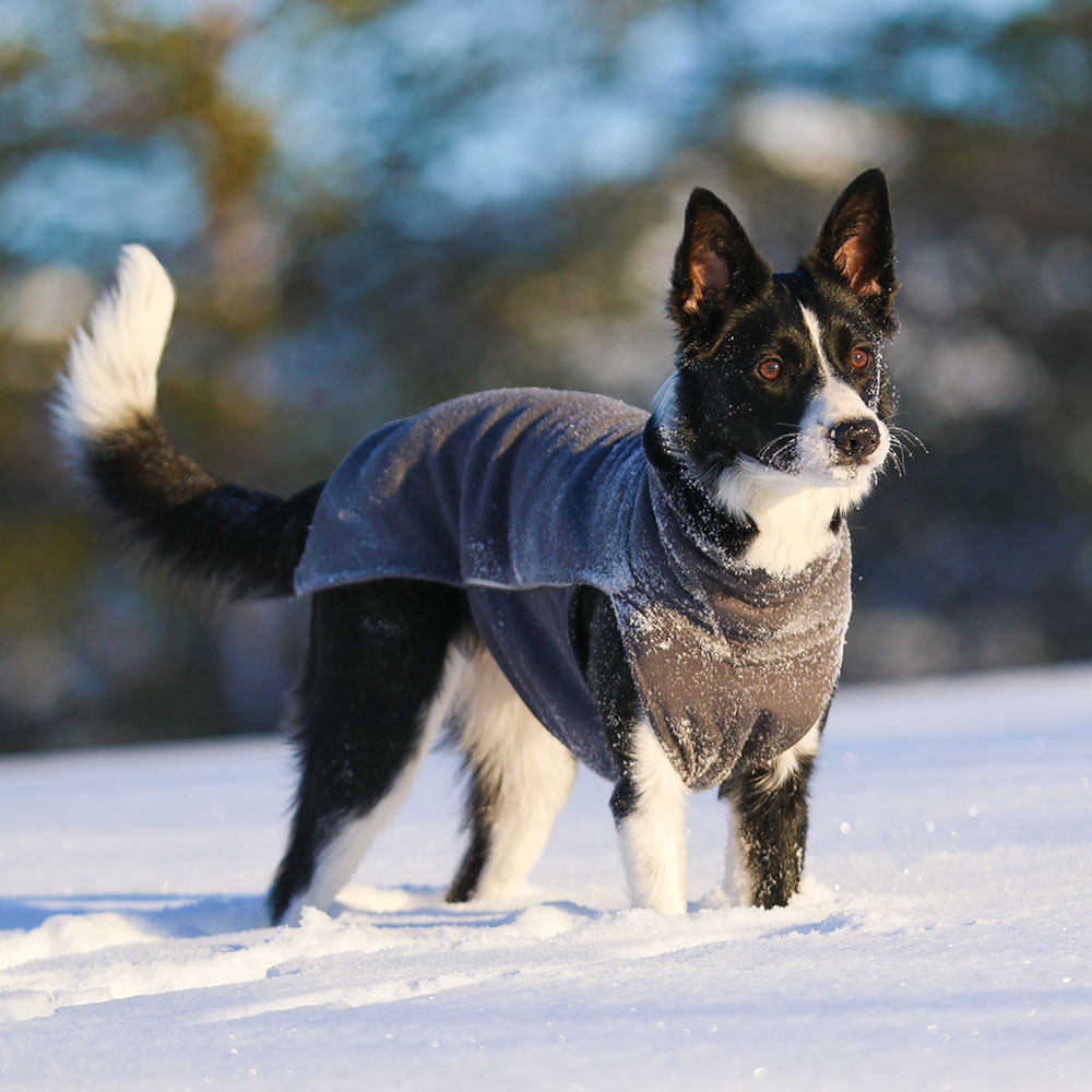Mjukt och skönt hundtäcke av fleece Pomppa jumppa passar till border collie
