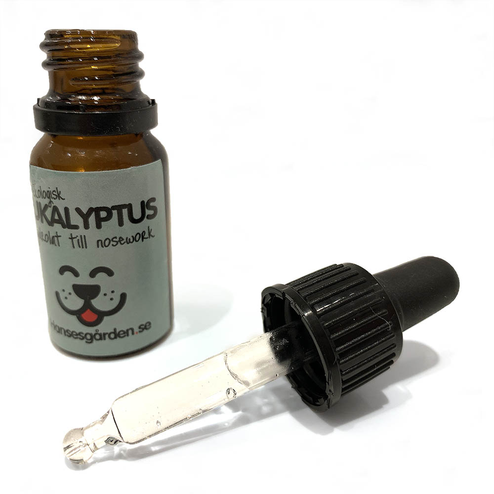 Eukalyptus 10 ml - hydrolat för nosework