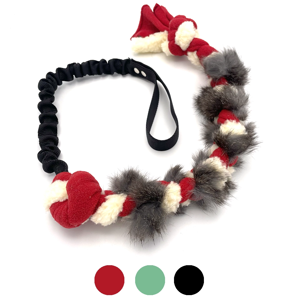 Braided dog toy with expander