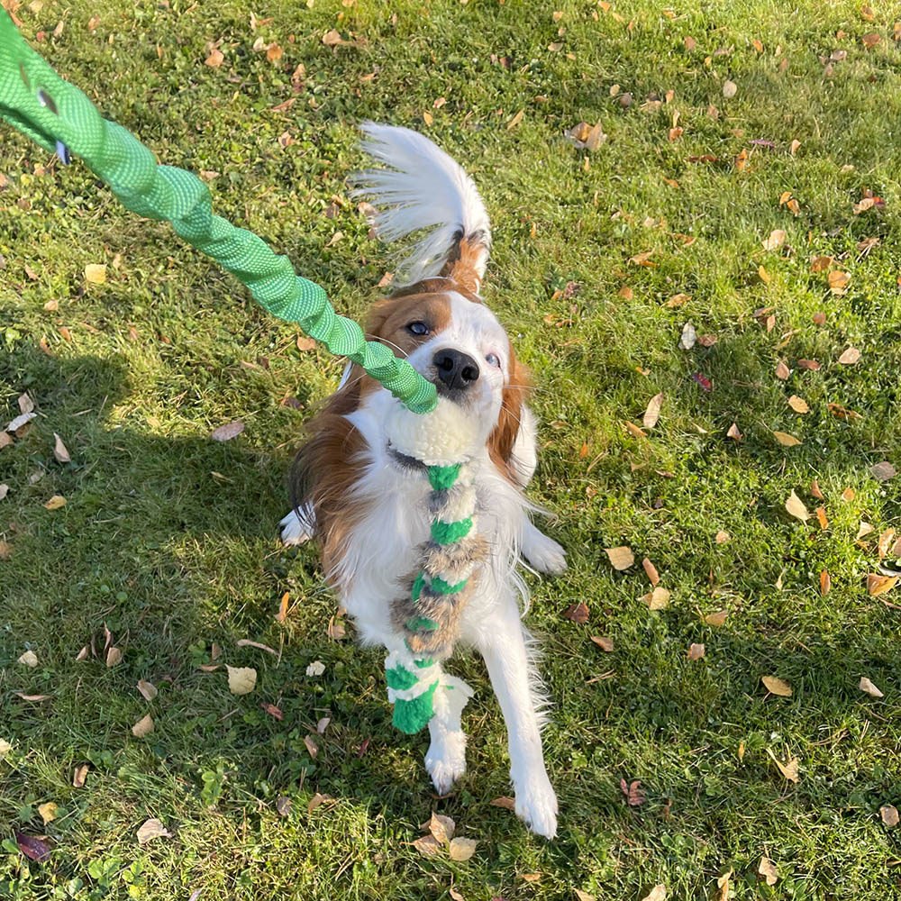 Braided dog toy with expander - 2
