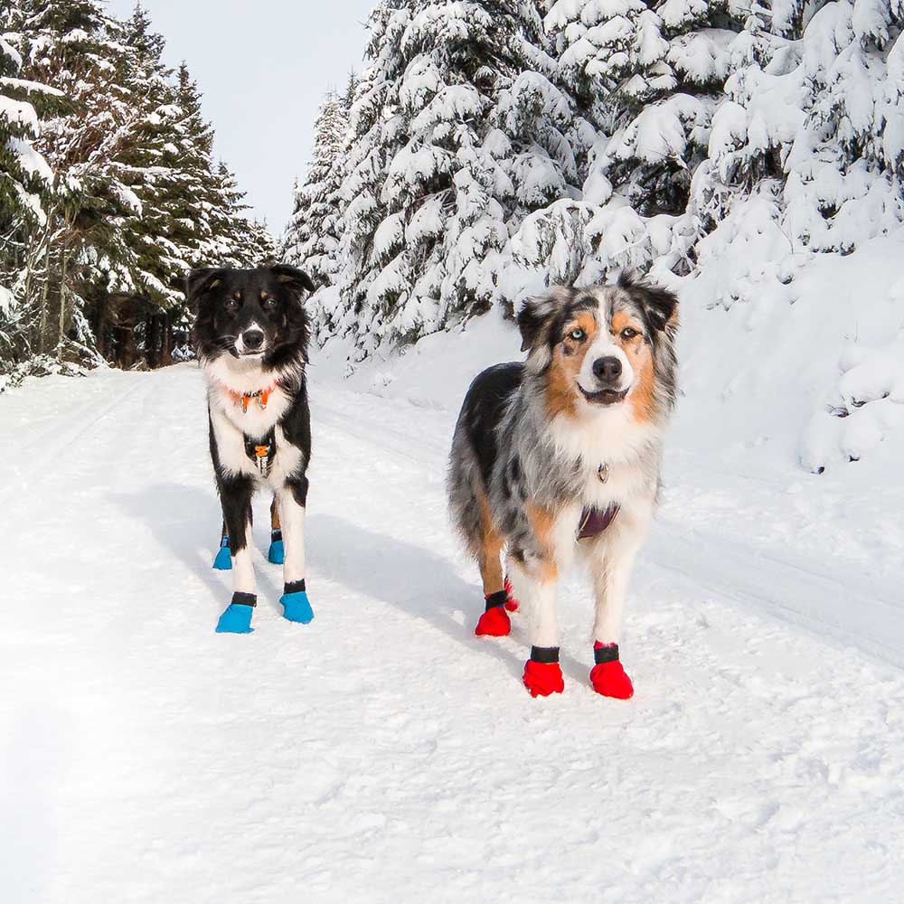 Enkla vinterskor hund Non-stop booties