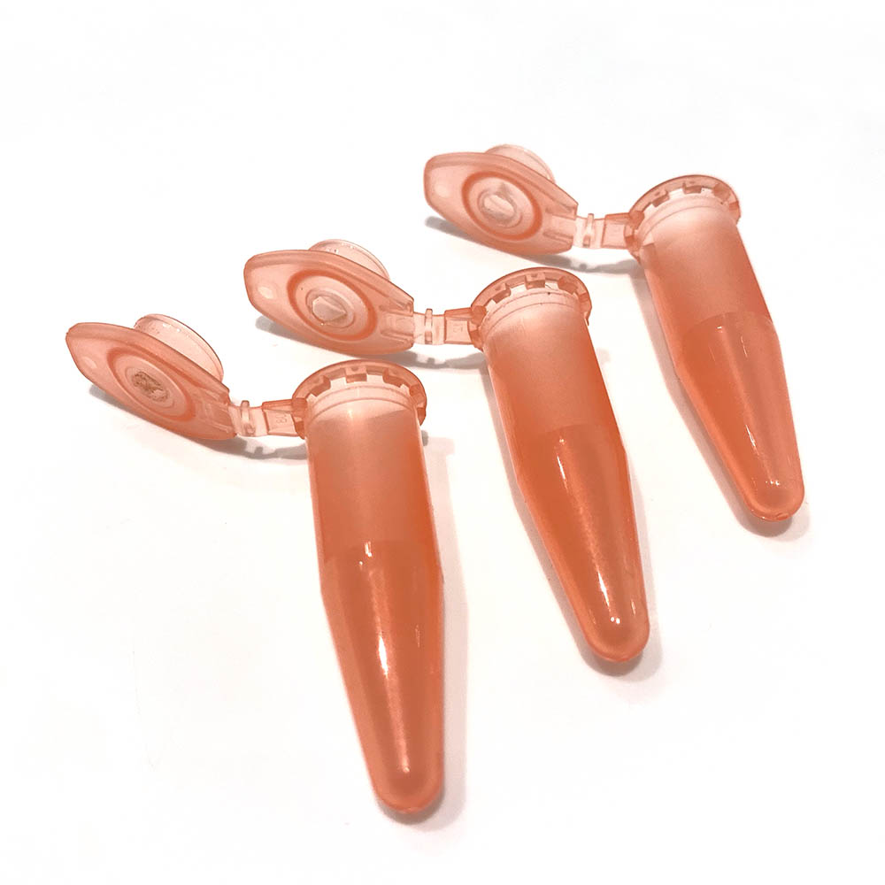 Scent cointainer for nosework - XS 3 pcs - 5