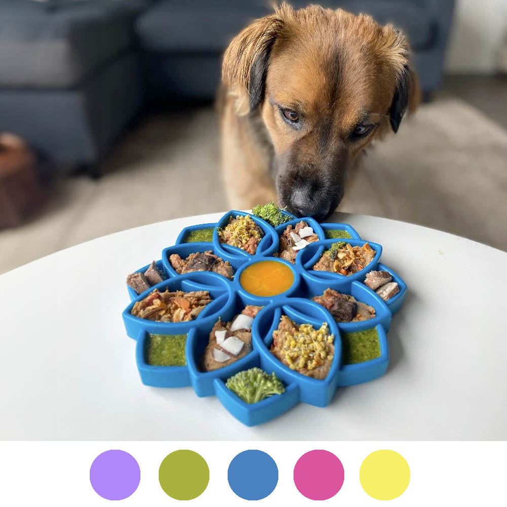 SodaPup Mandala matskål till hund äta sakta matberikning