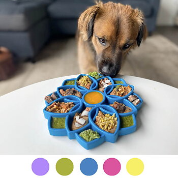 SodaPup Mandala matskål till hund äta sakta matberikning