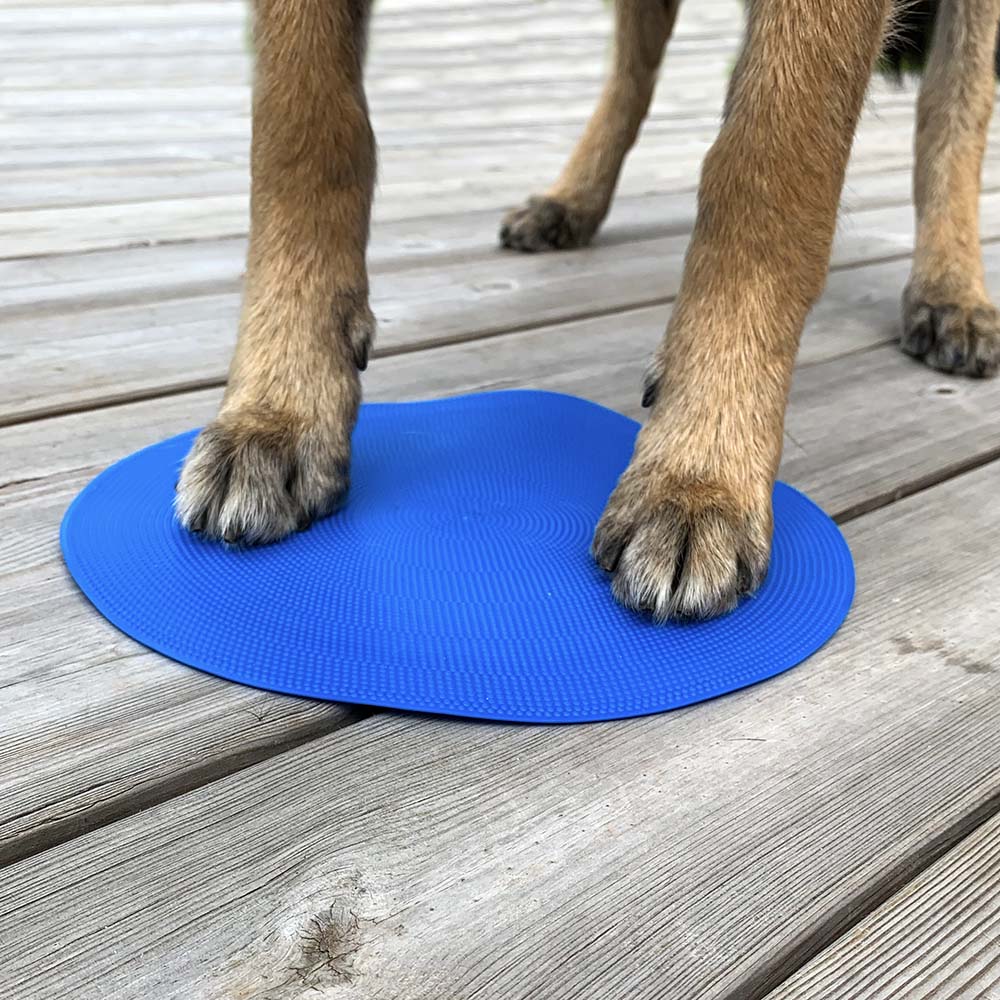 FitPAWS taget plattor som ligger kvar utan att glida iväg tassplattor