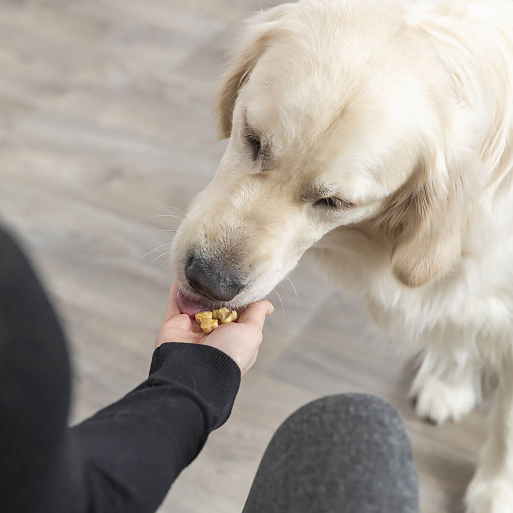 Bakmatta för hundgodis - 6
