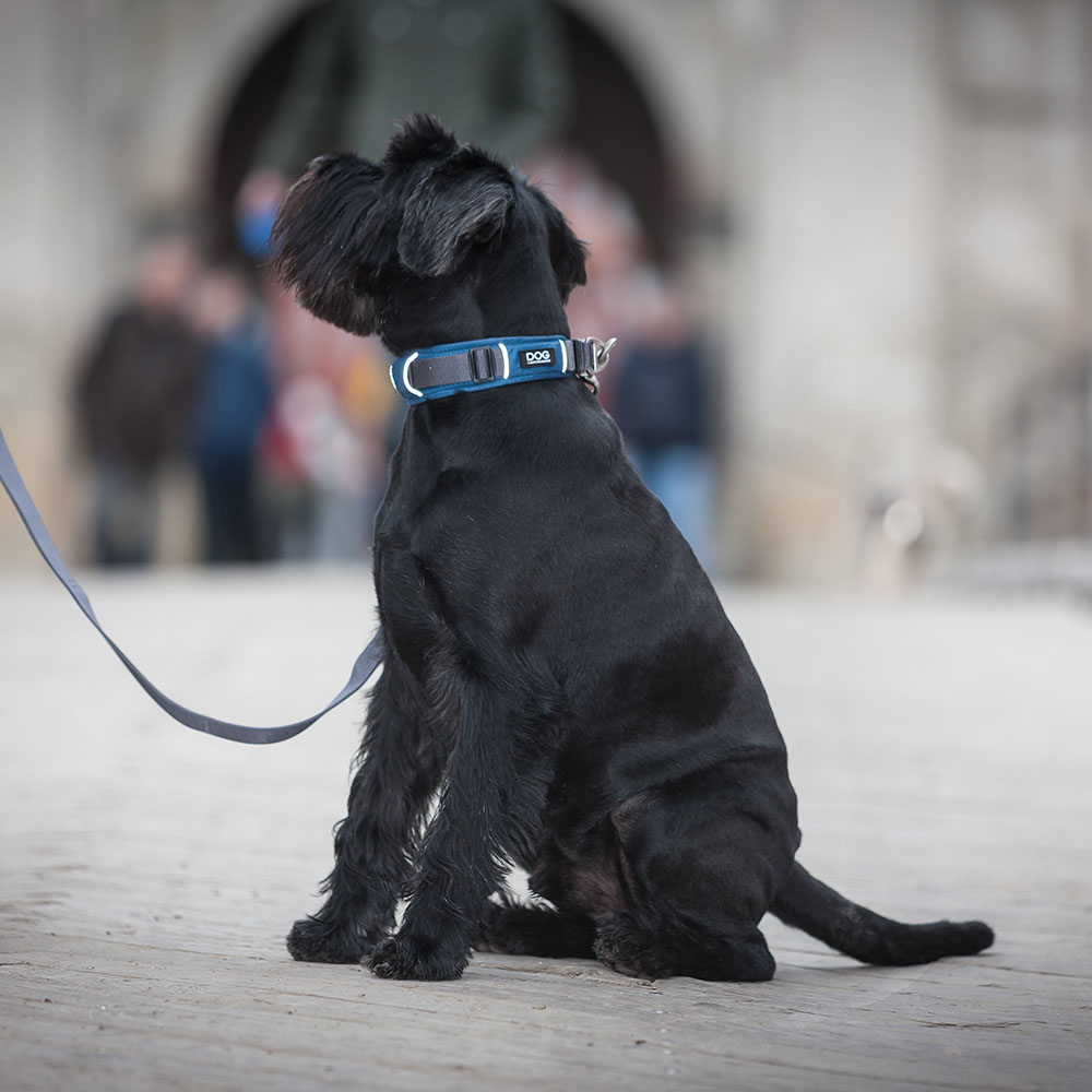 Skönt och mjukt halsband till hunden