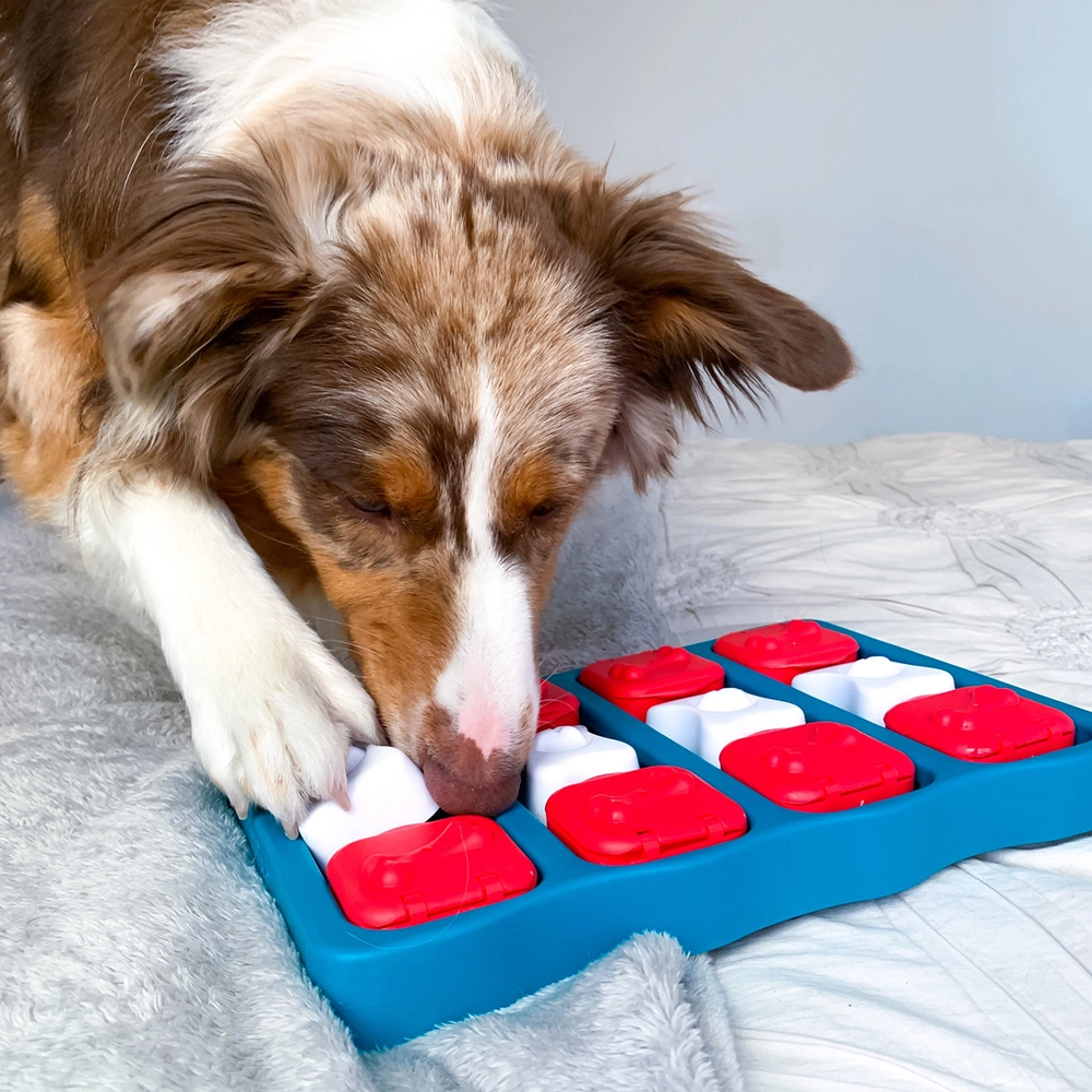 Aktiveringsleksak matberikning till hund Nina Ottosson dog brick