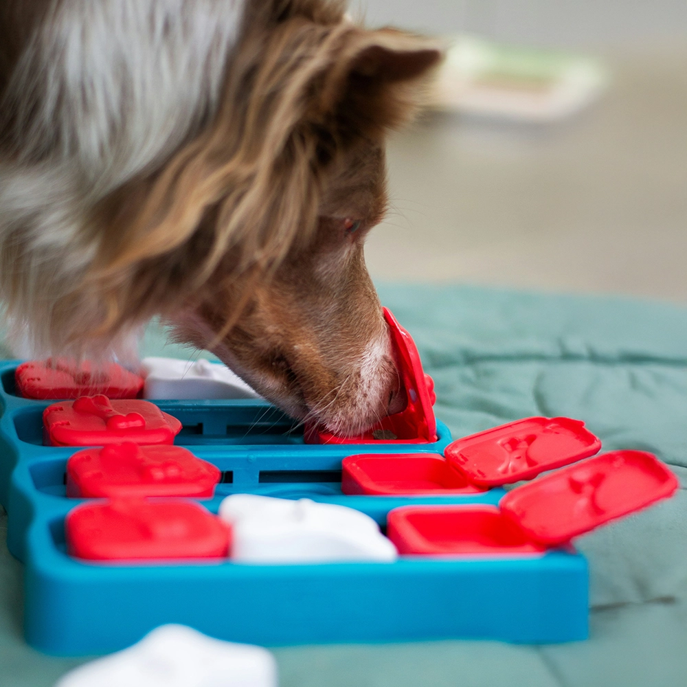Nina Ottosson Dog Brick - 2
