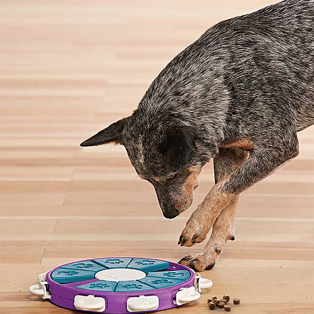 Nina Ottosson Dog Twister - 4