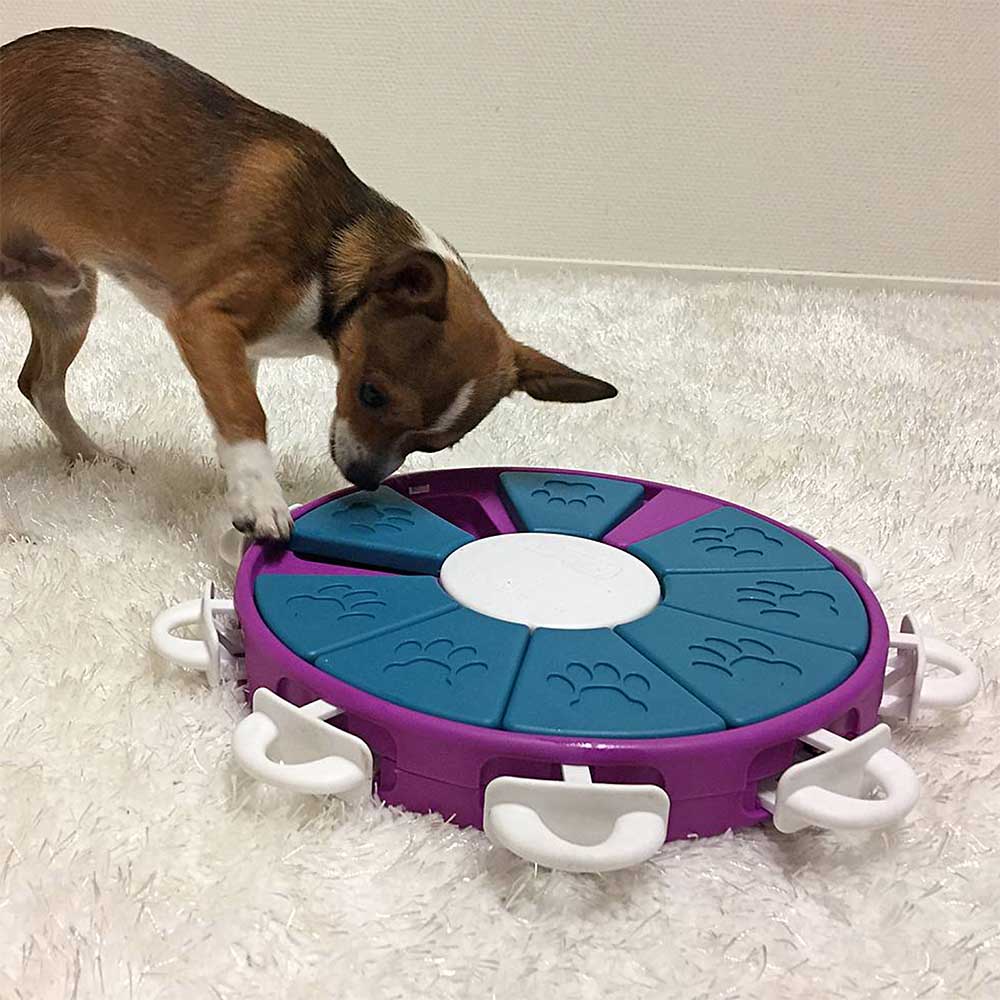 Nina Ottosson Dog Twister - 3