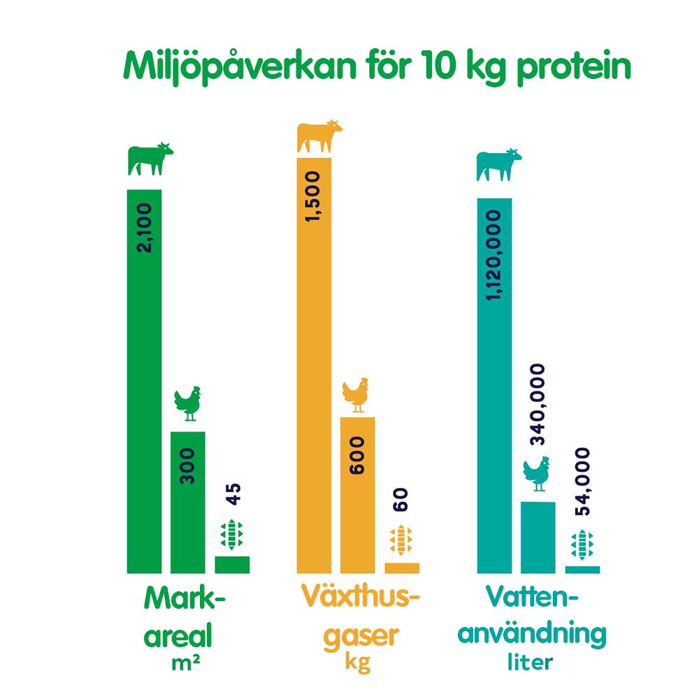 Yora blötmat - klimatsmart hundfoder - 4