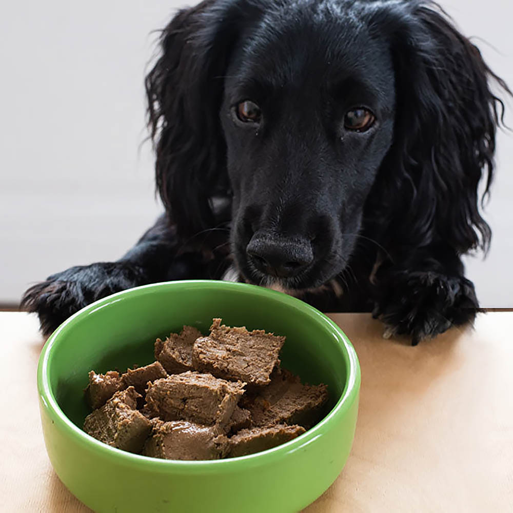 Yora paté Worlds most sustainable dog food