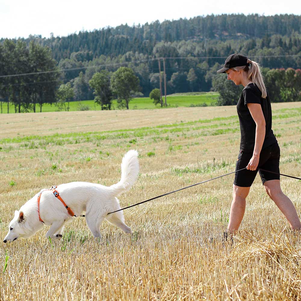 Bra och mjuk spårsele till hund Non-Stop