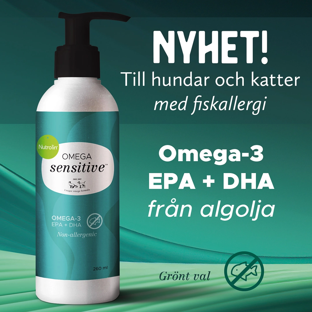 Nutrolin Omega sensitive fiskolja utan fisk hund med fiskallergi