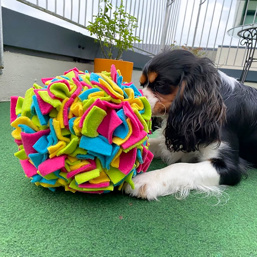 KABOO sniffing cube - 5