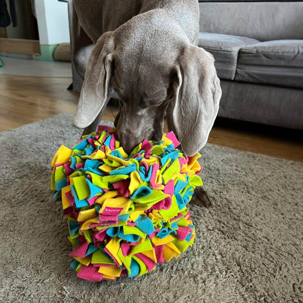 KABOO fleece cube dog toy