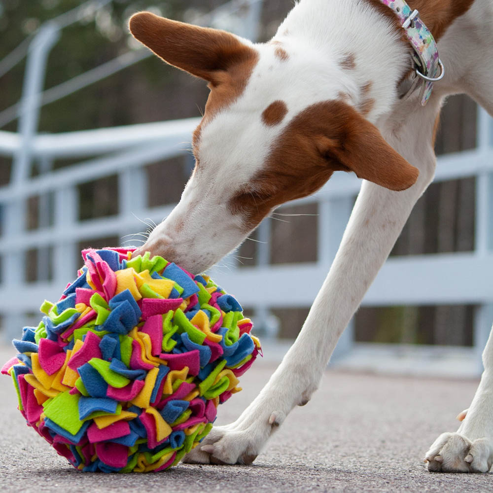 KABOO dog toy sniffing toy