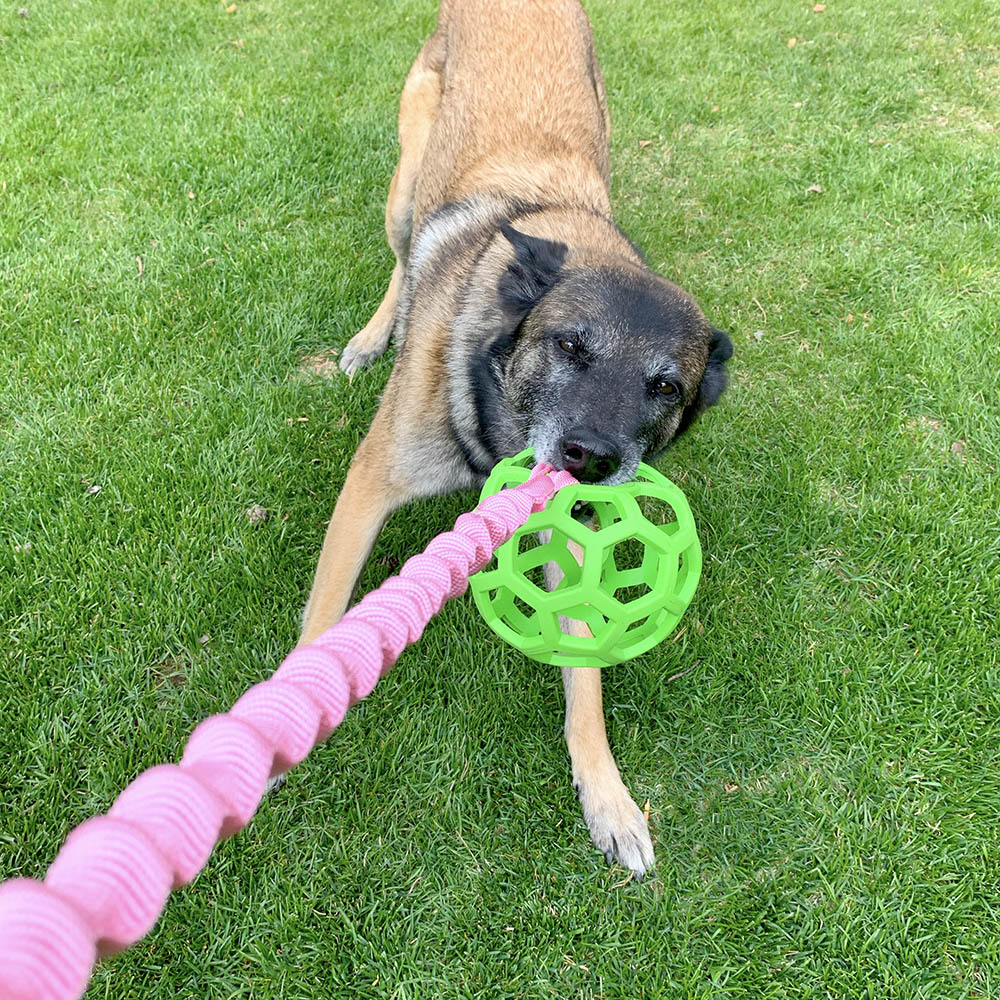 Hundleksak elastiskt handtag bungee 