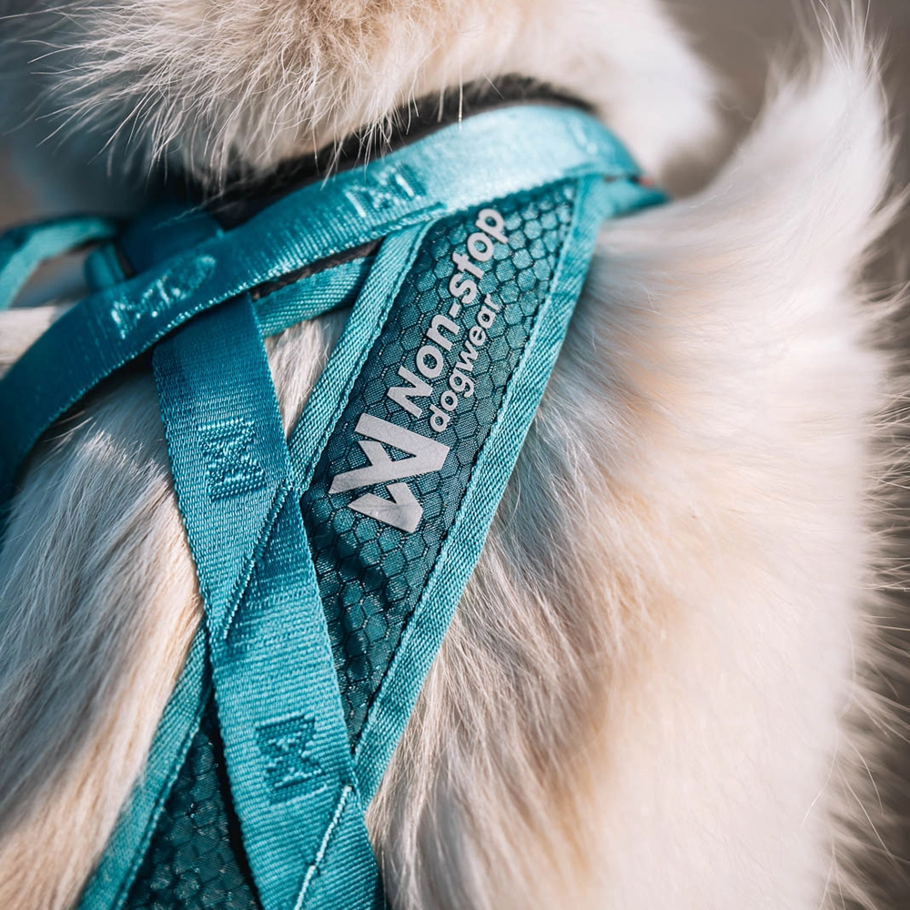 Non-stop Rush harness hundsele