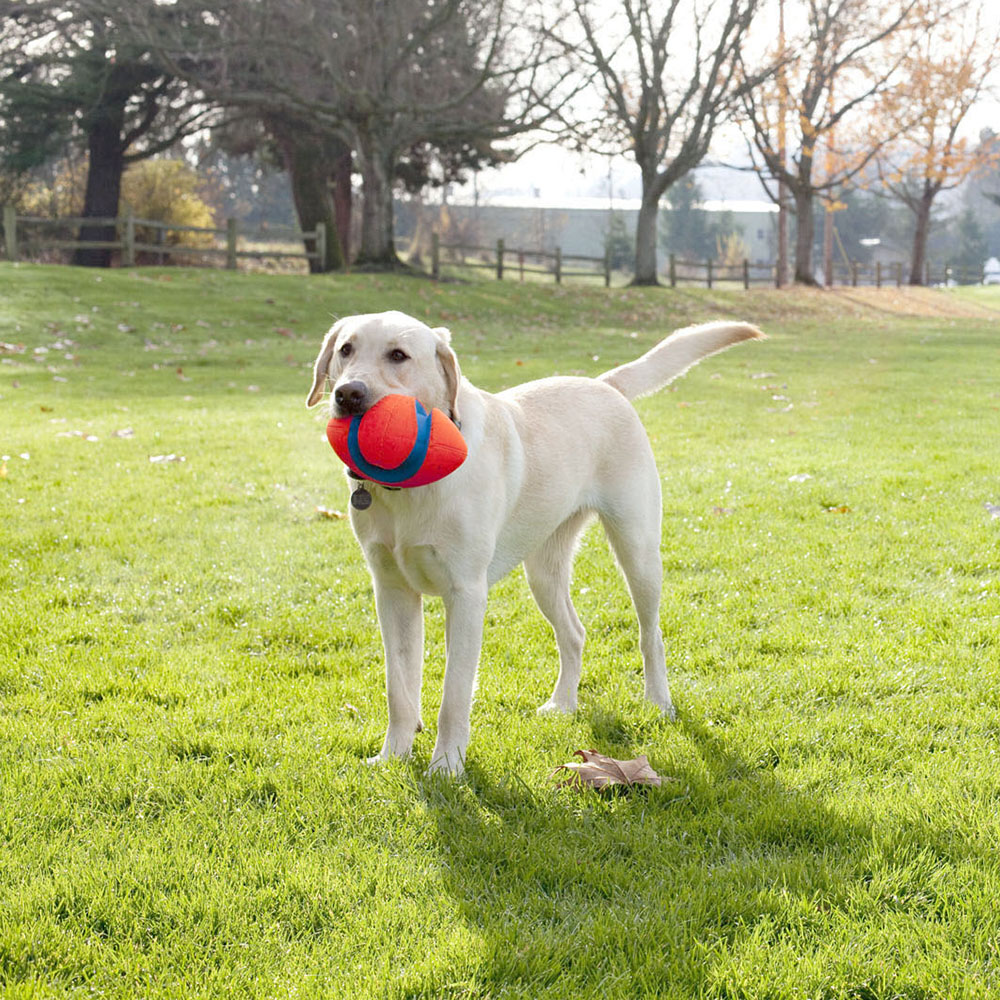 Chuckit Fumble fetch - 2