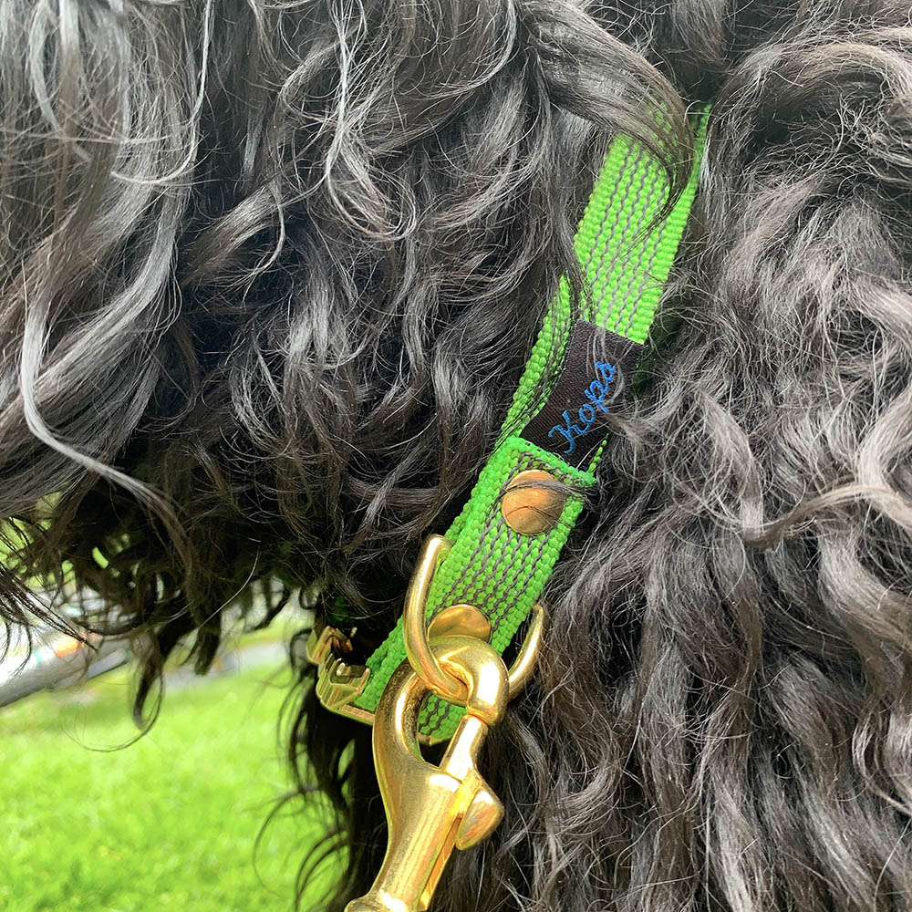 Kops hundhalsband - 2