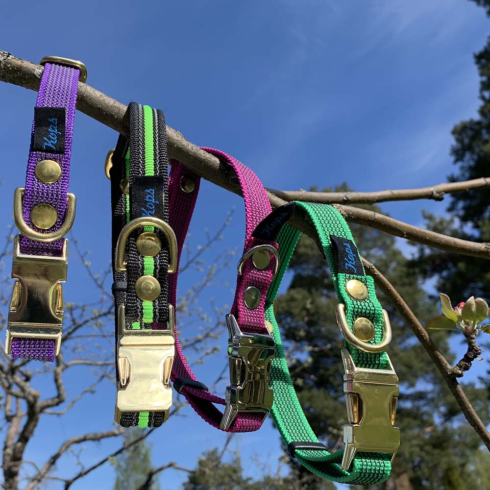 Kops hundhalsband - 3