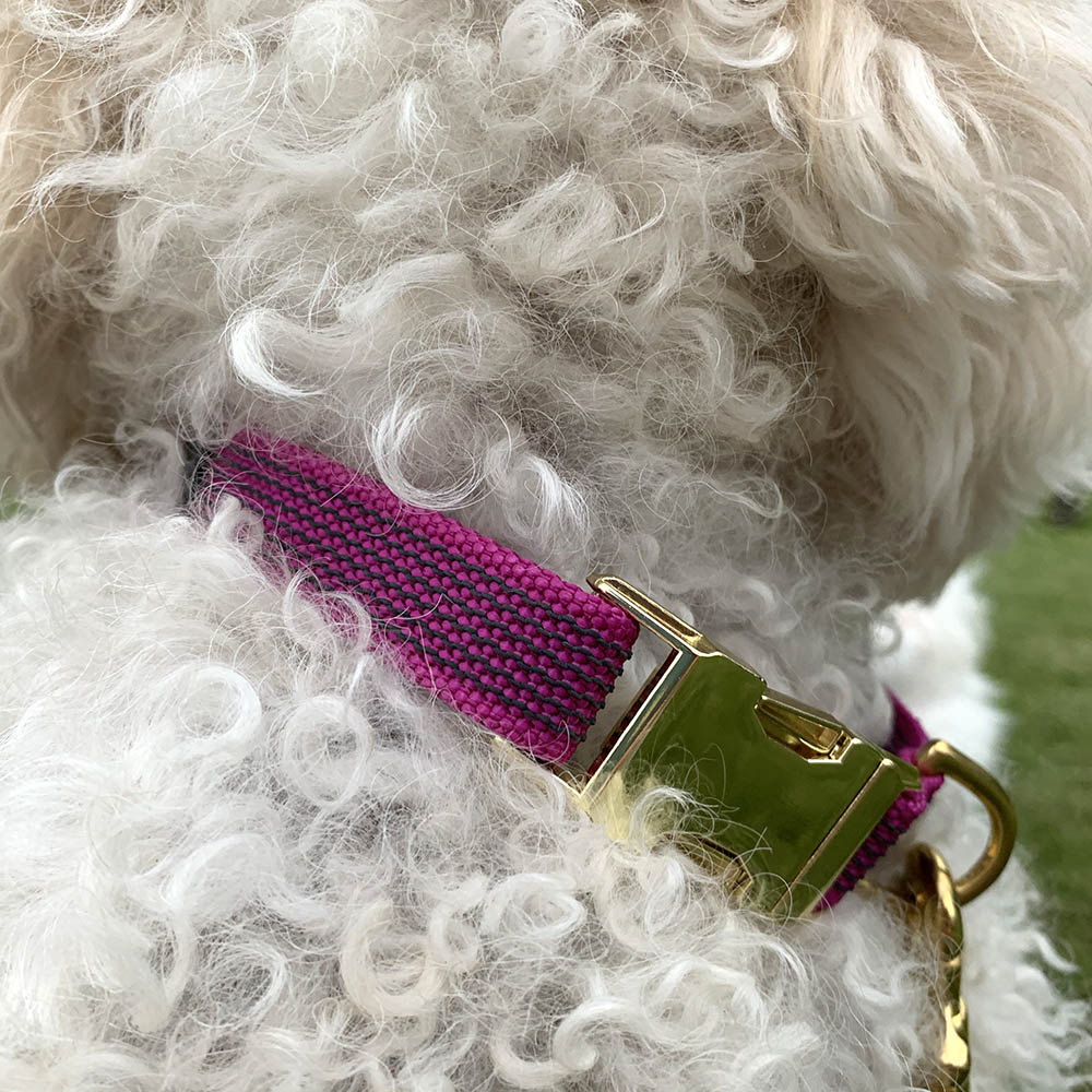 Kops hundhalsband - 6