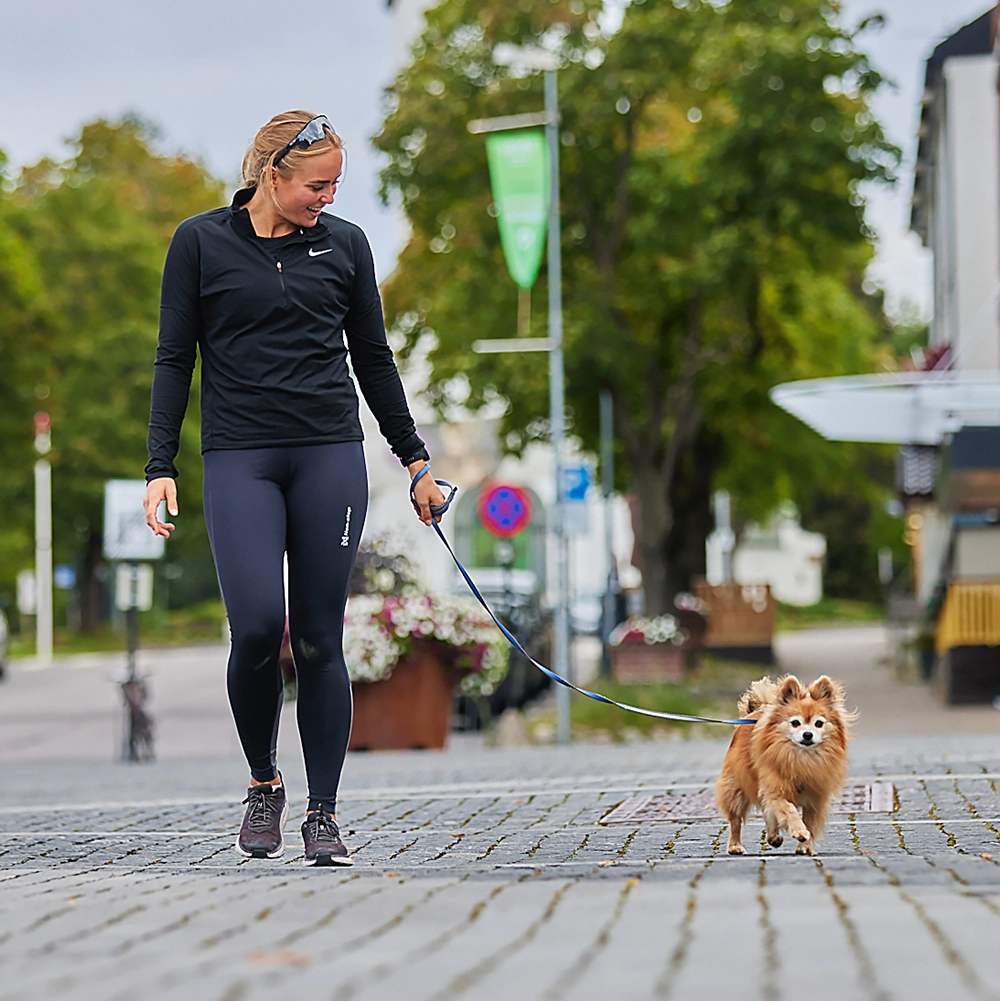 Hundkoppel 1,5 meter 1,7 meter långt med rejäl hake